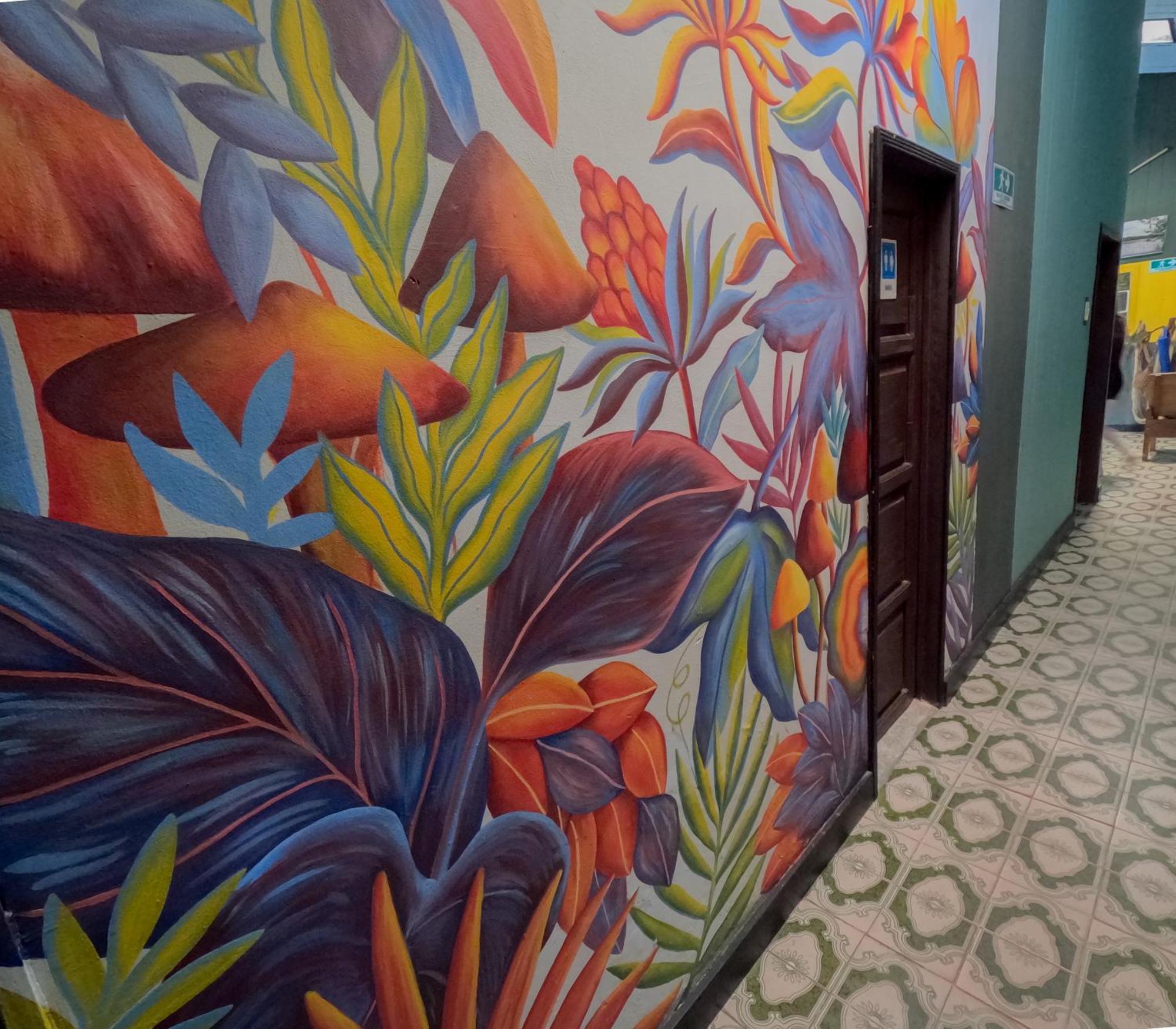 Hostel Casa De Las Palmas Tours レティシア エクステリア 写真
