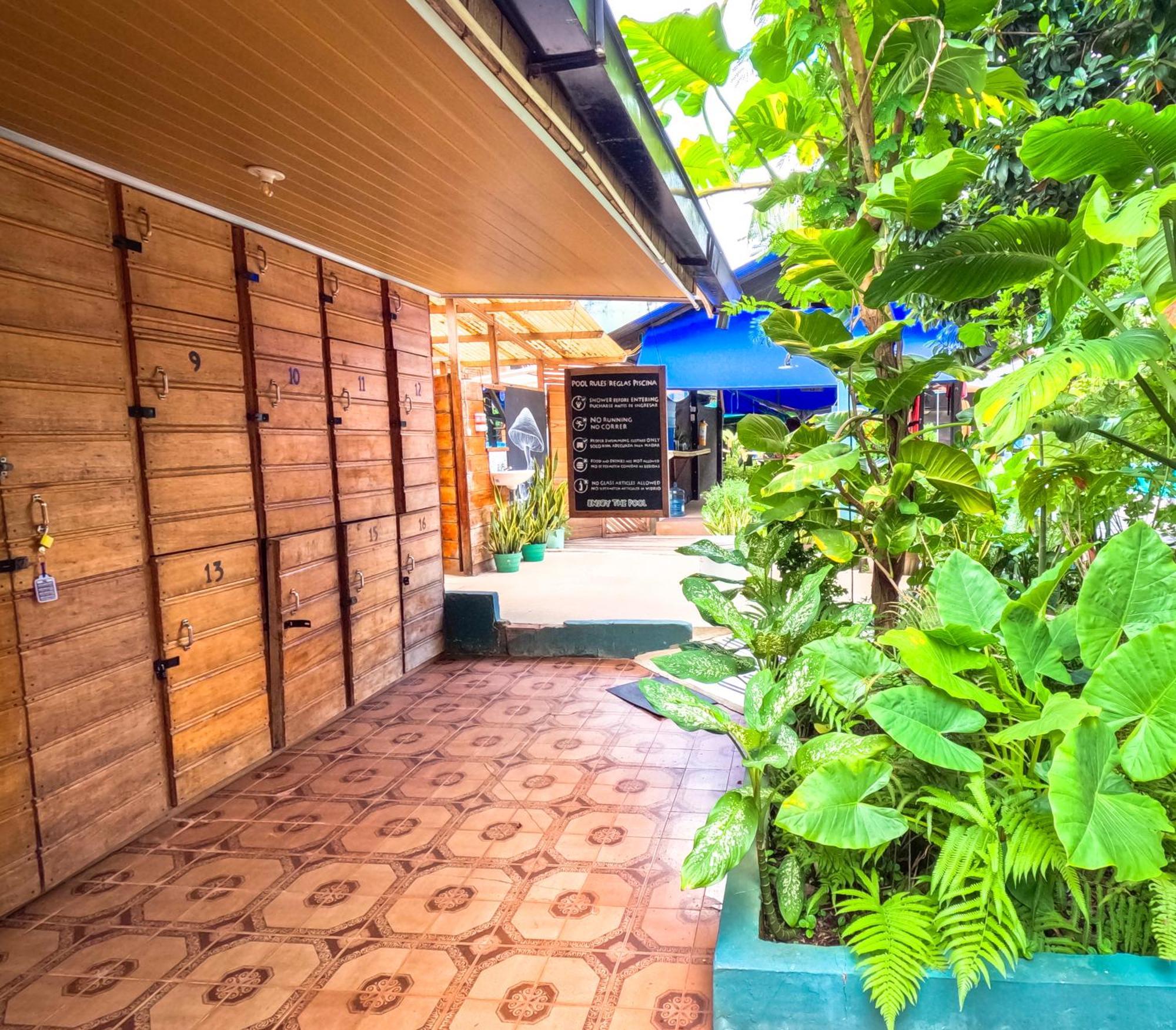 Hostel Casa De Las Palmas Tours レティシア エクステリア 写真