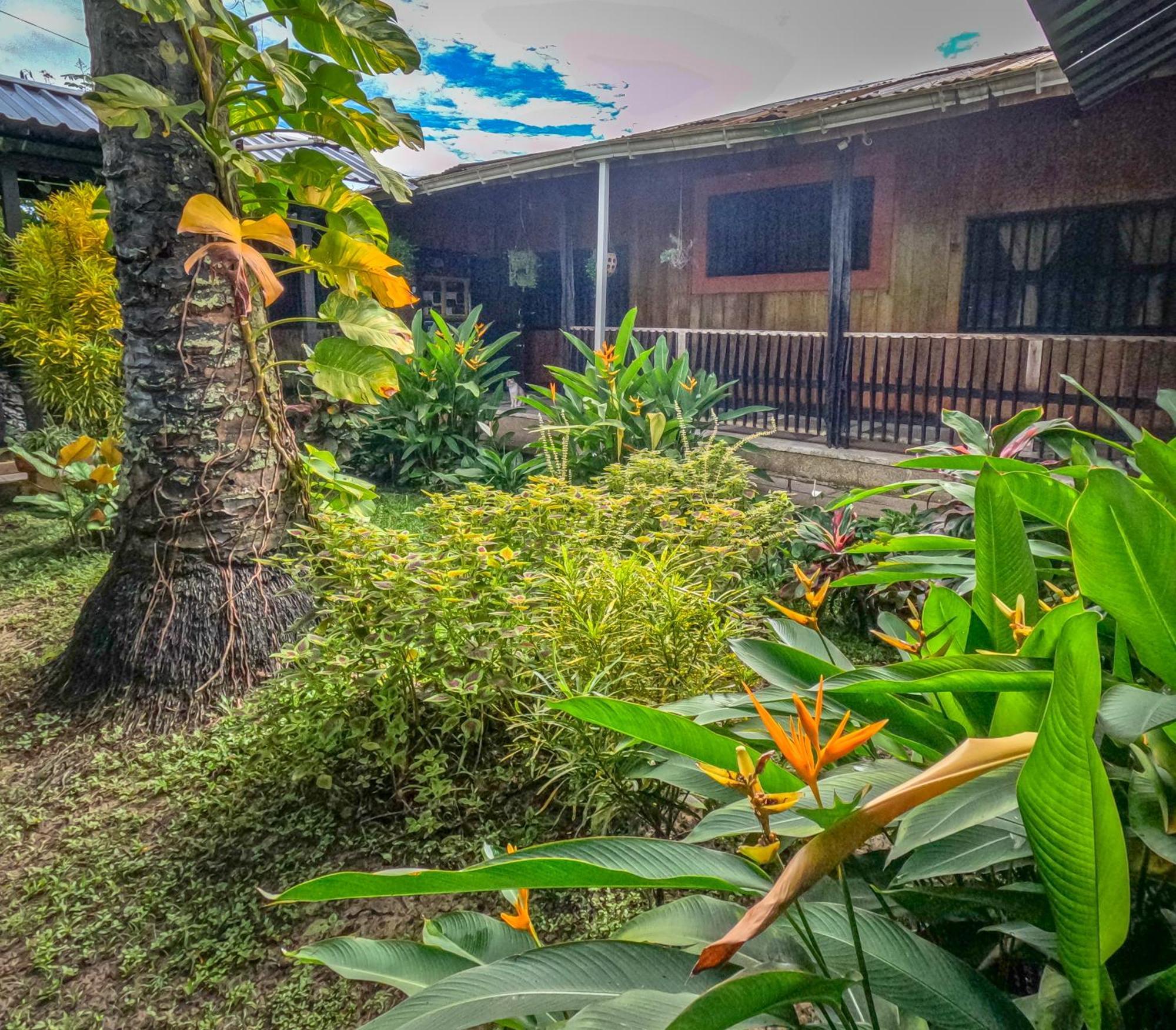 Hostel Casa De Las Palmas Tours レティシア エクステリア 写真