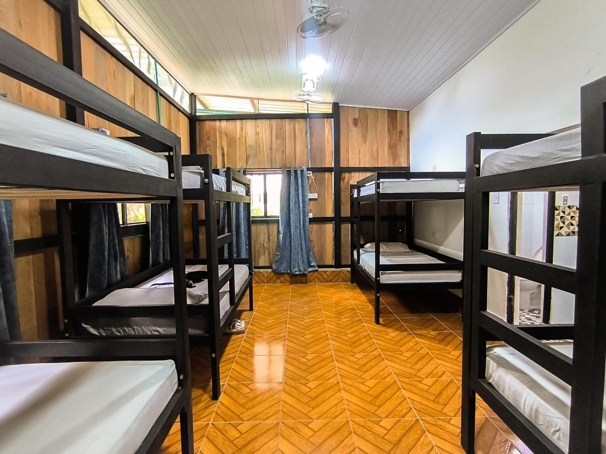 Hostel Casa De Las Palmas Tours レティシア エクステリア 写真